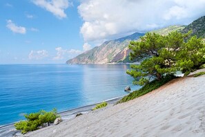 在海灘附近、白沙、沙灘巾