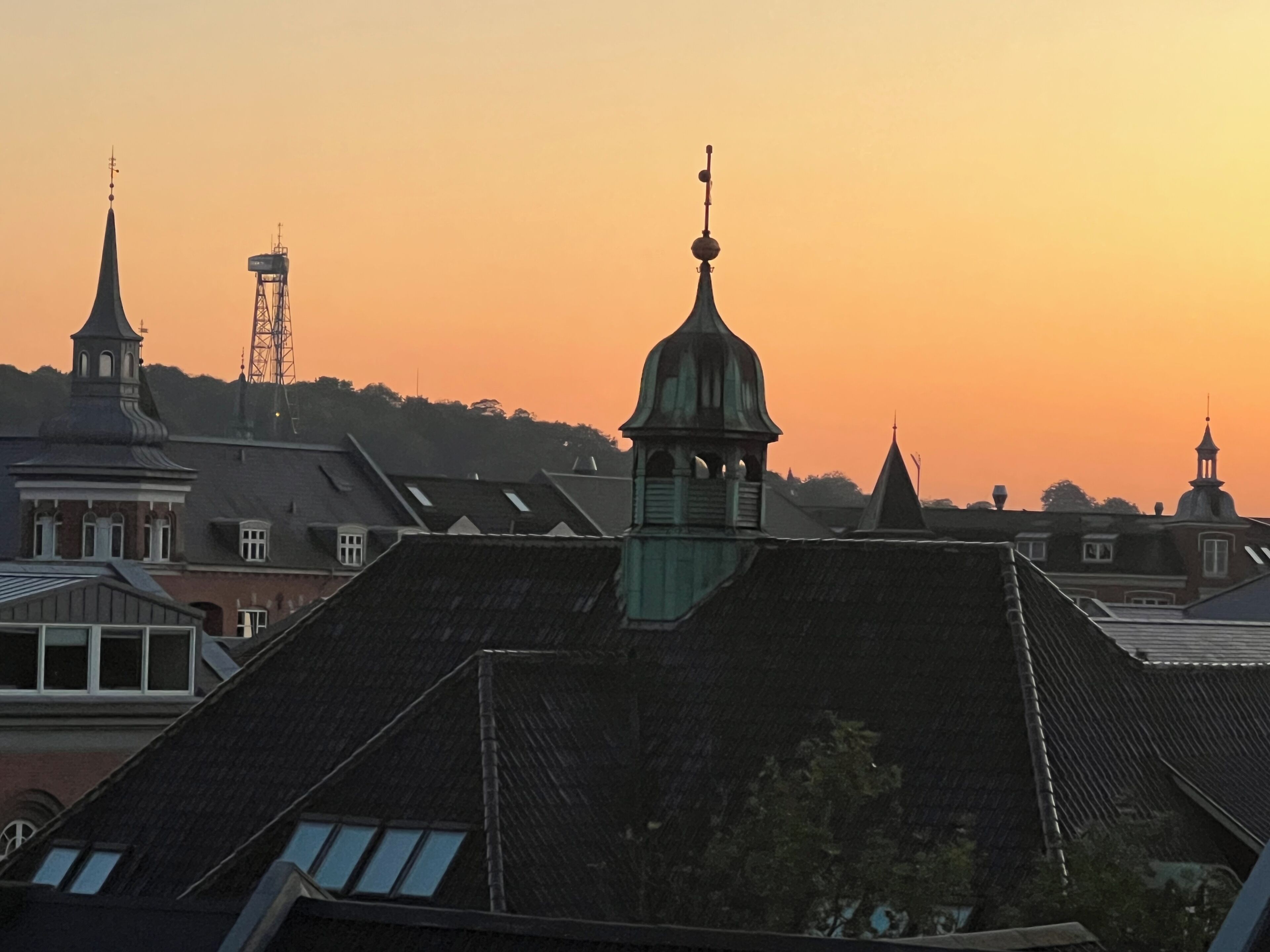 luxury suite, 1 bedroom, city view | premium bedding, down duvets, pillow-top beds, minibar