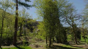 Property grounds - Chateau Ol Puech (Vic-sur-Cere)