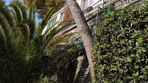 A building with a stone facade, a balcony with a metal railing, and lush greenery around it. - Lovely Apartment on the Ligurian Sea (Varazze)