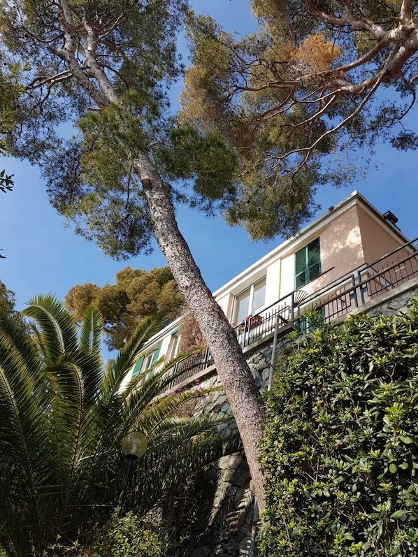 A building with a stone facade, a balcony with a metal railing, and lush greenery around it.