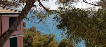 Lovely Apartment on the Ligurian Sea