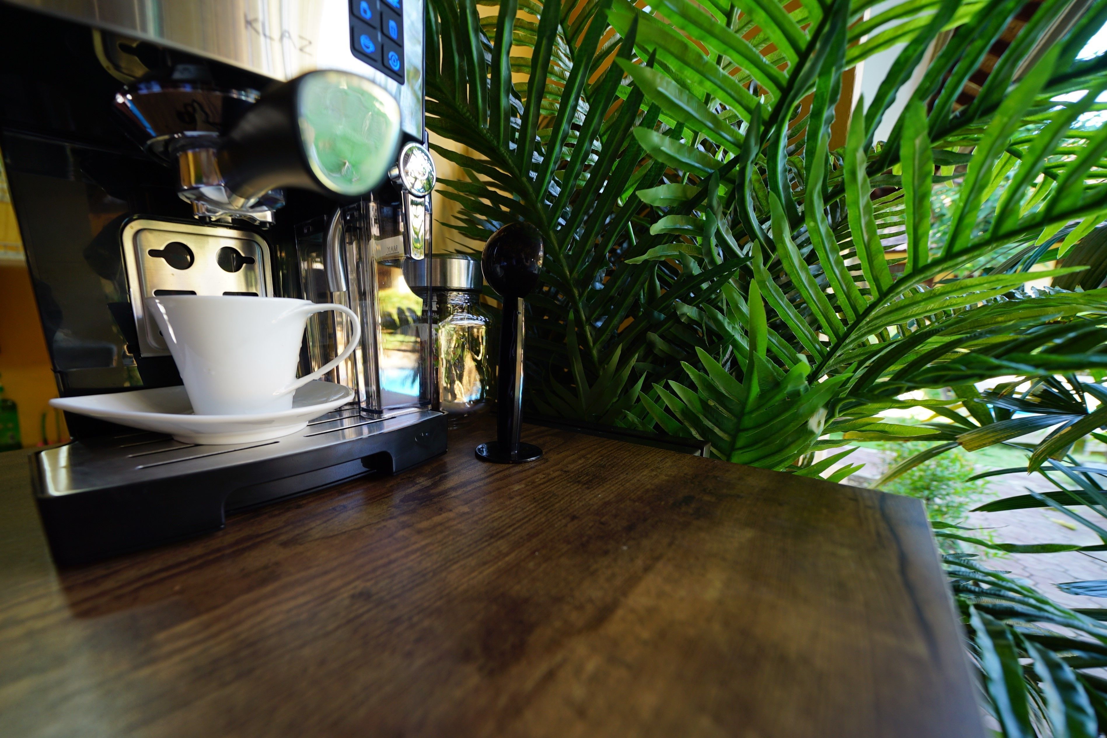 Una cafetera con una taza y platillo sobre una mesa de madera, rodeada de plantas verdes.