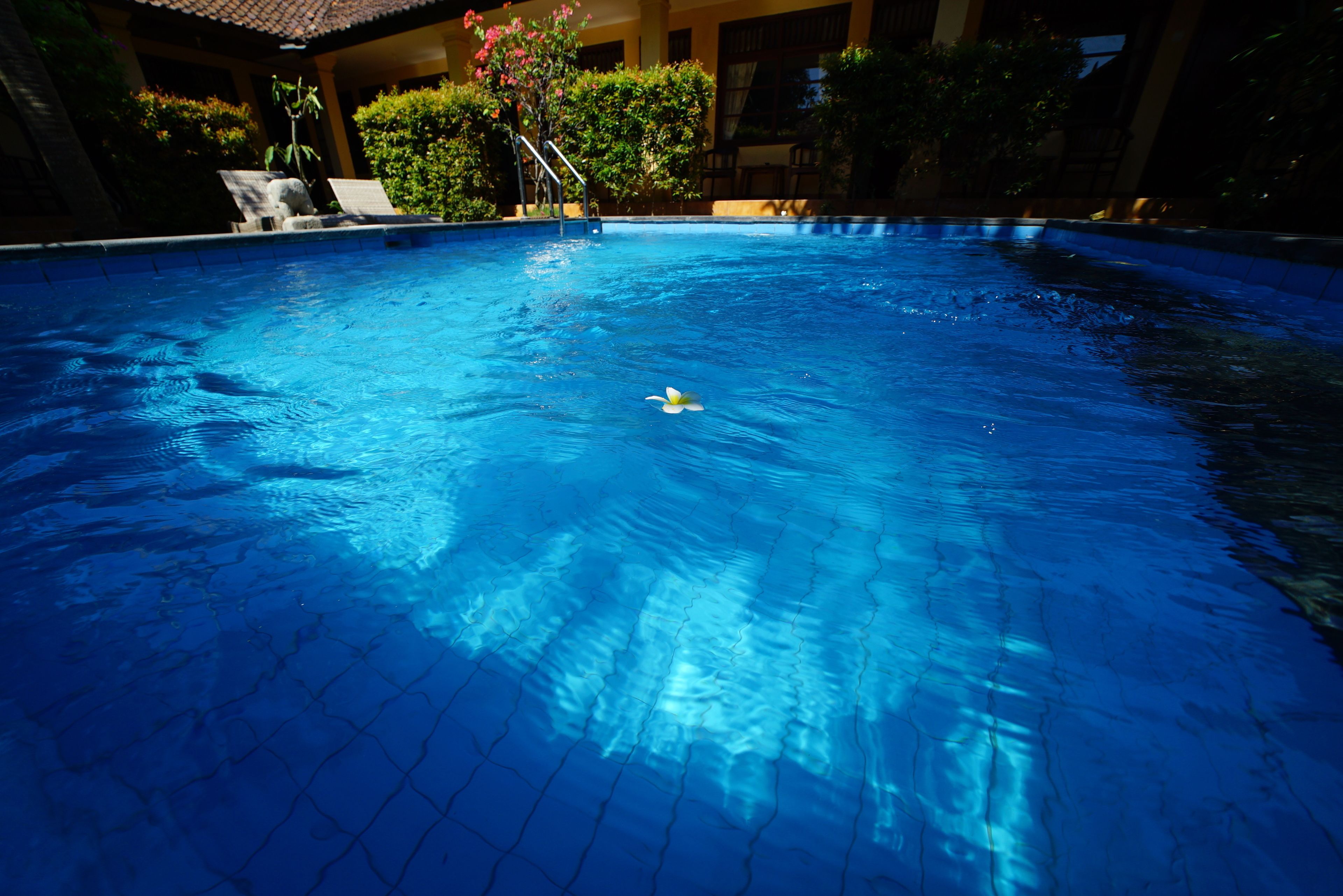 A swimming pool with clear blue water, surrounded by lounge chairs and greenery.