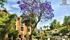 Un hotel moderno con un árbol en primer plano, rodeado de otros edificios y automóviles estacionados.