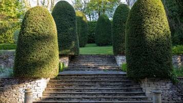 Jardim