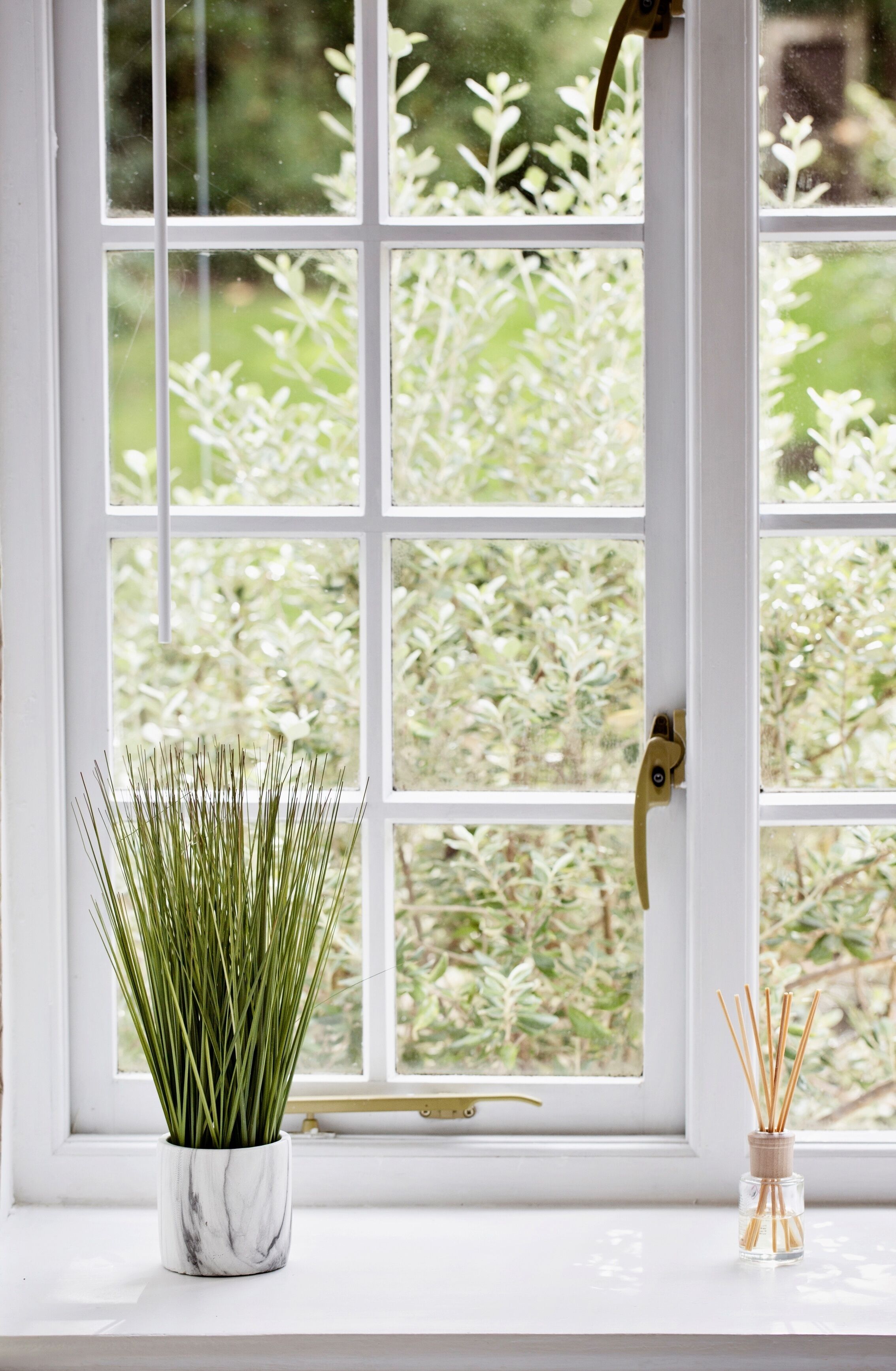 Una ventana con marco blanco, una planta en maceta y un difusor de cañas.