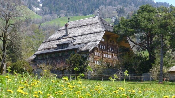 A traditional chalet with a sloped roof, surrounded by a lush green field and a mountain backdrop. - Alpine Apartment With Stunning Views (Chateau-d'Oex)