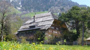 Apartment | Property grounds