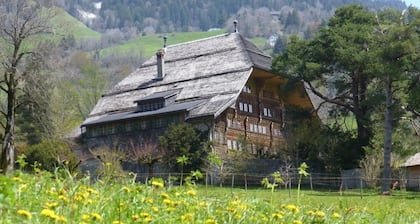 Alpine Apartment With Stunning Views