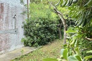 A narrow pathway leading to a building with a rustic exterior and a lush green bush in the foreground.