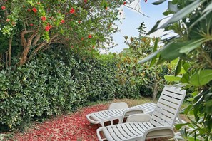A garden with a bench and a tree with red flowers.