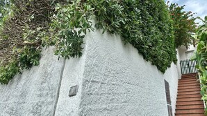 A textured white wall with a metal plaque, a staircase, and dense foliage. - N106 - Numana, villa with garden and right sea view (Numana)