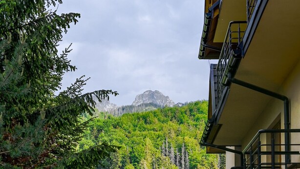 A paved driveway leading to a building with a stone facade, surrounded by lush greenery and a mountain in the background. - RentPlanet - Apartament Krzeptówki (Zakopane)