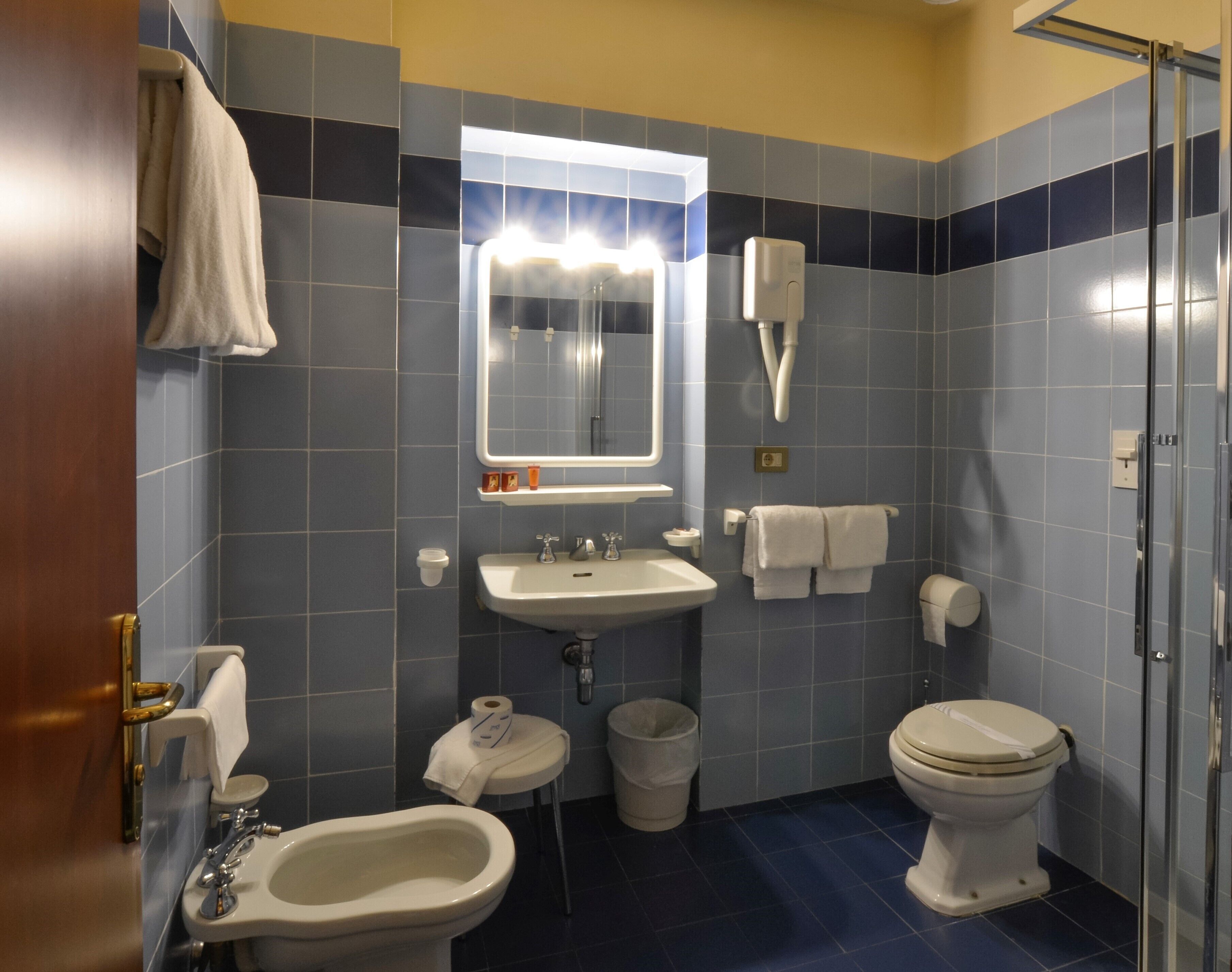 combined shower/bathtub, free toiletries, hair dryer, bidet