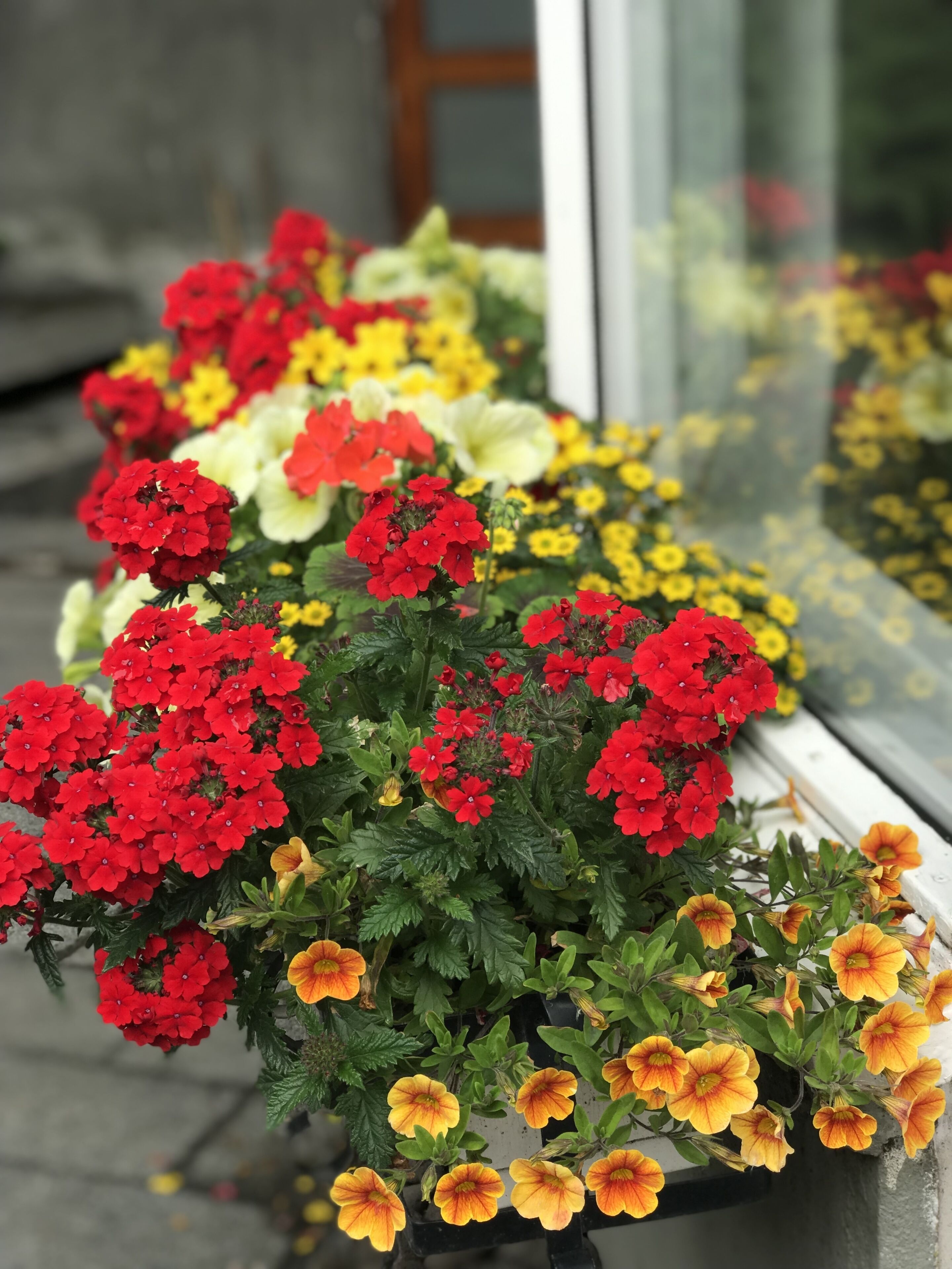 Foto - Snorri's Guesthouse