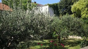 A garden with various plants and a concrete pathway. - Apartment Zvonimir (Kastela)