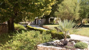 A landscaped garden with a stone wall, a palm-like plant, and a building with a door and windows.