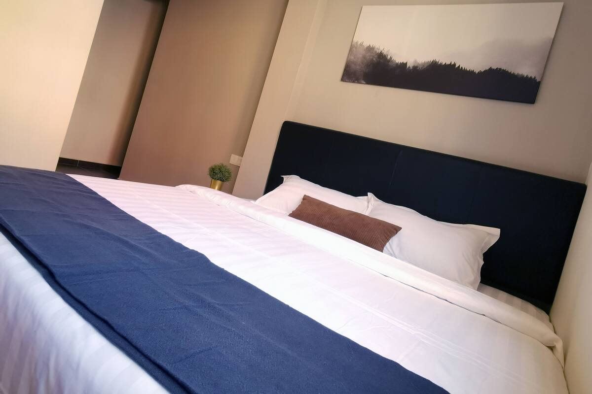 A neatly made bed with white and blue bedding, a dark headboard, and a small plant on the nightstand.