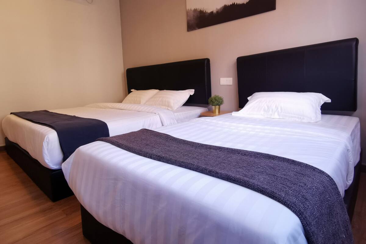 A hotel room with two beds, each with a black headboard, white linens, and a small plant on the nightstand.