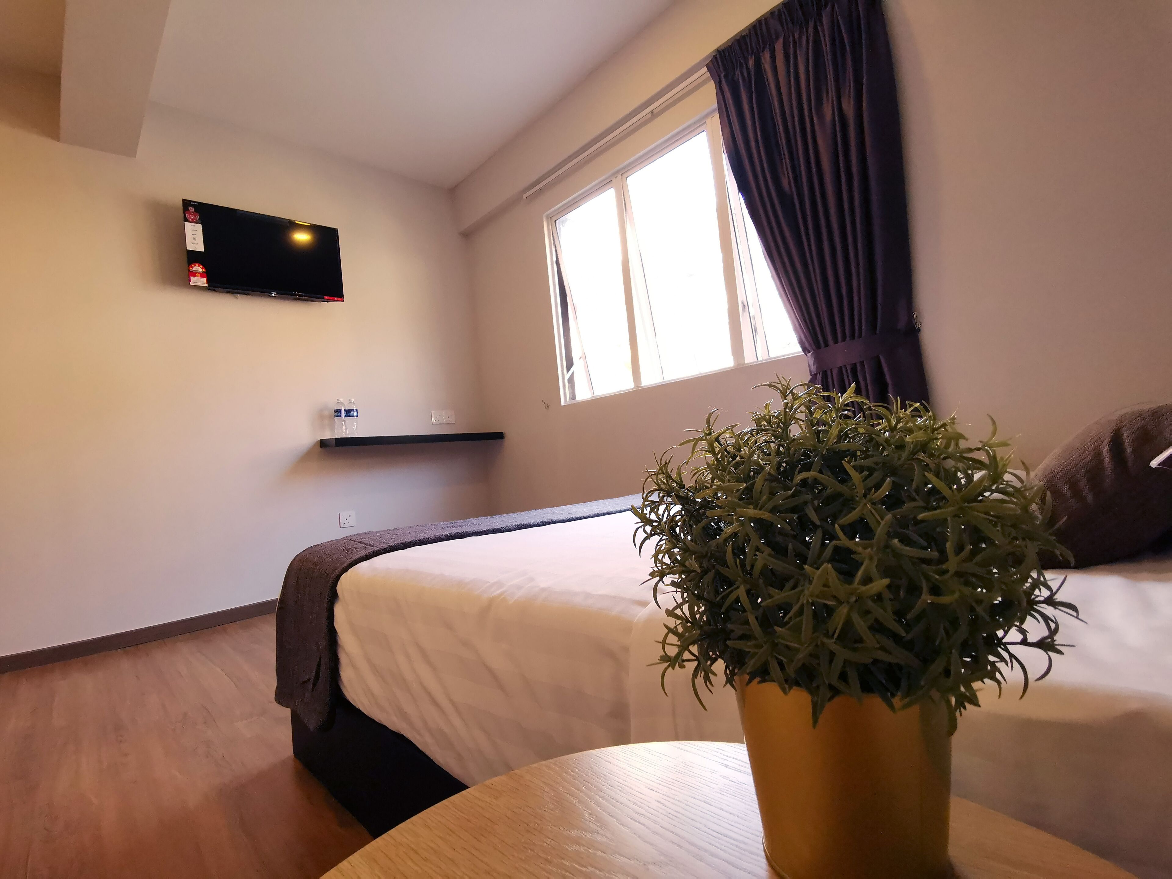 Habitación de hotel con cama, televisión montada en la pared, ventana con cortinas y planta en maceta sobre una mesa.