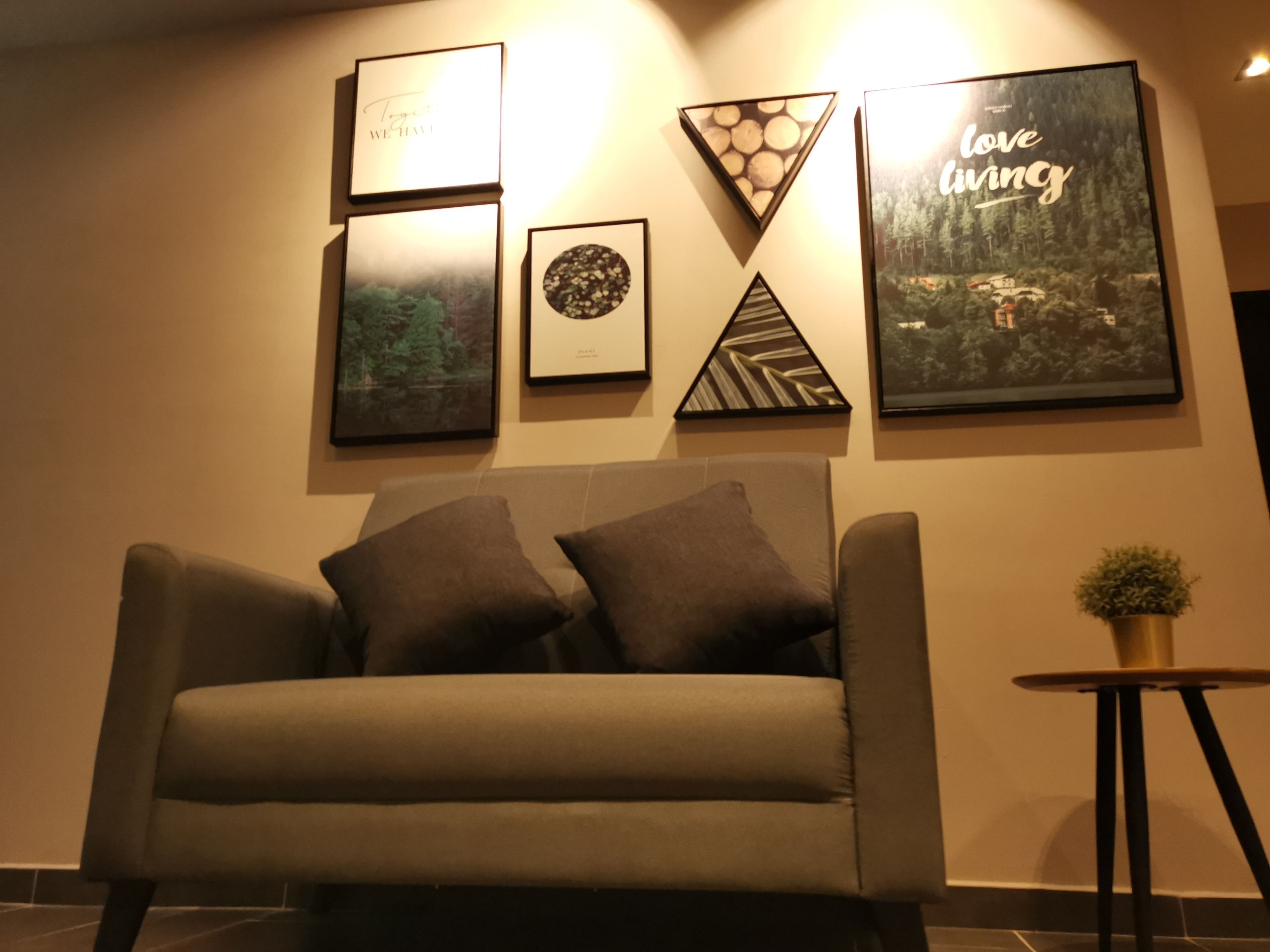 A modern living room with a grey sofa, two cushions, and a small table with a plant.