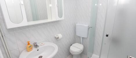 A bathroom with a sink, toilet, and glass-enclosed shower.