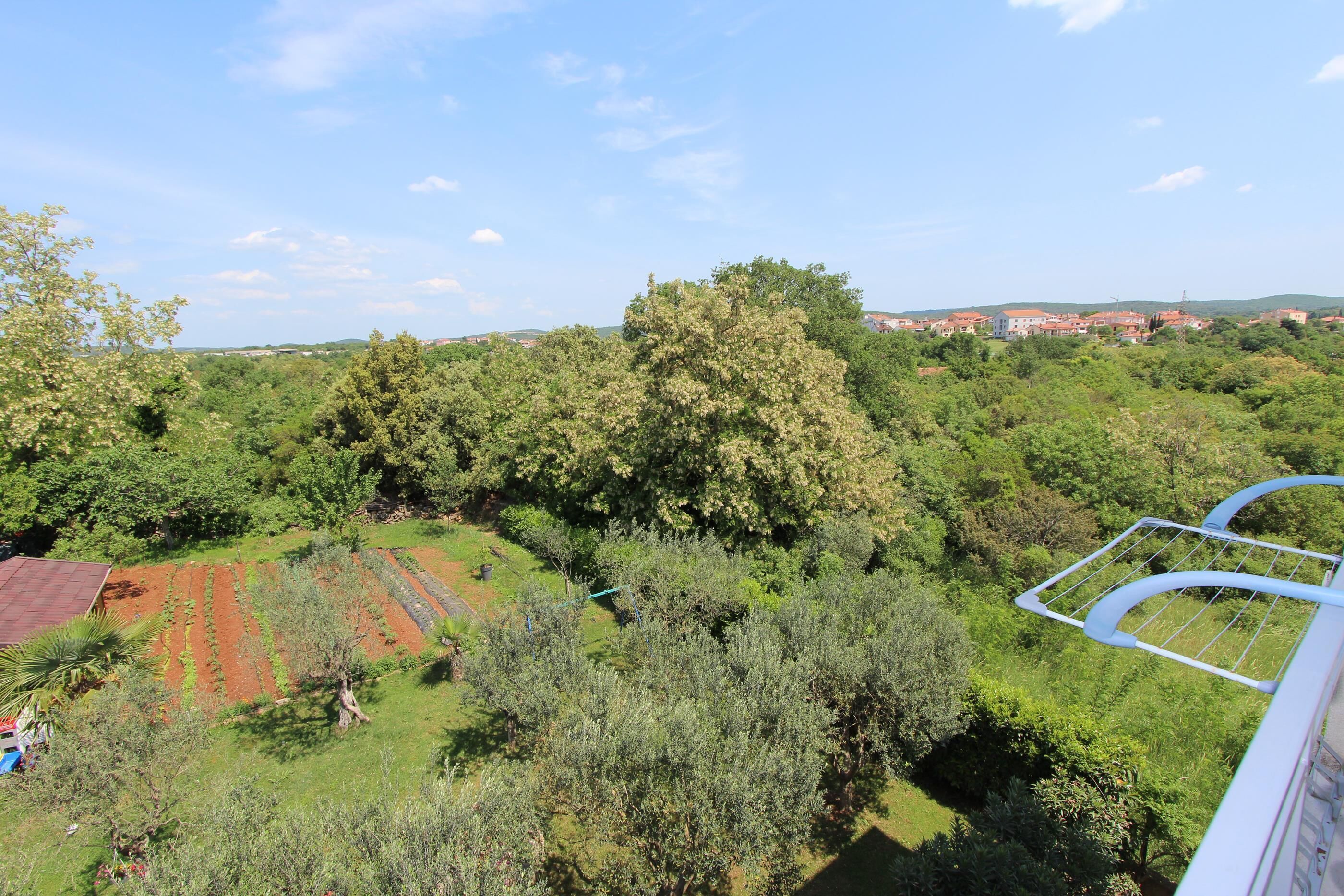 A view of a lush green landscape with trees and a field.