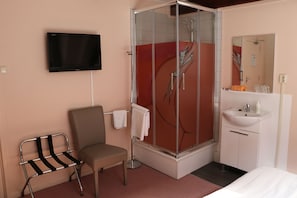 A hotel room with a shower, a chair, a TV, and a sink.