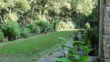 Jardí