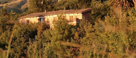 Vue sur la campagne depuis l’hébergement