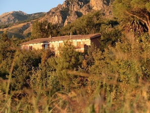 Land view from property