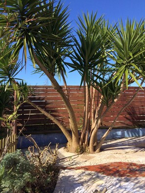 Property grounds - Quinta in Aveiro Casa 3 Águias - Budget (Aveiro)