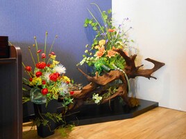 Se sirven desayunos y cocina japonesa