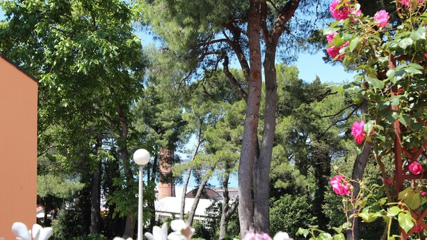 A garden with trees, a lamp post, and pink flowers. - Apartments Villa Lucu (Rovinj)