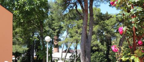 Appartamento, 1 camera da letto, terrazzo | Vista balcone