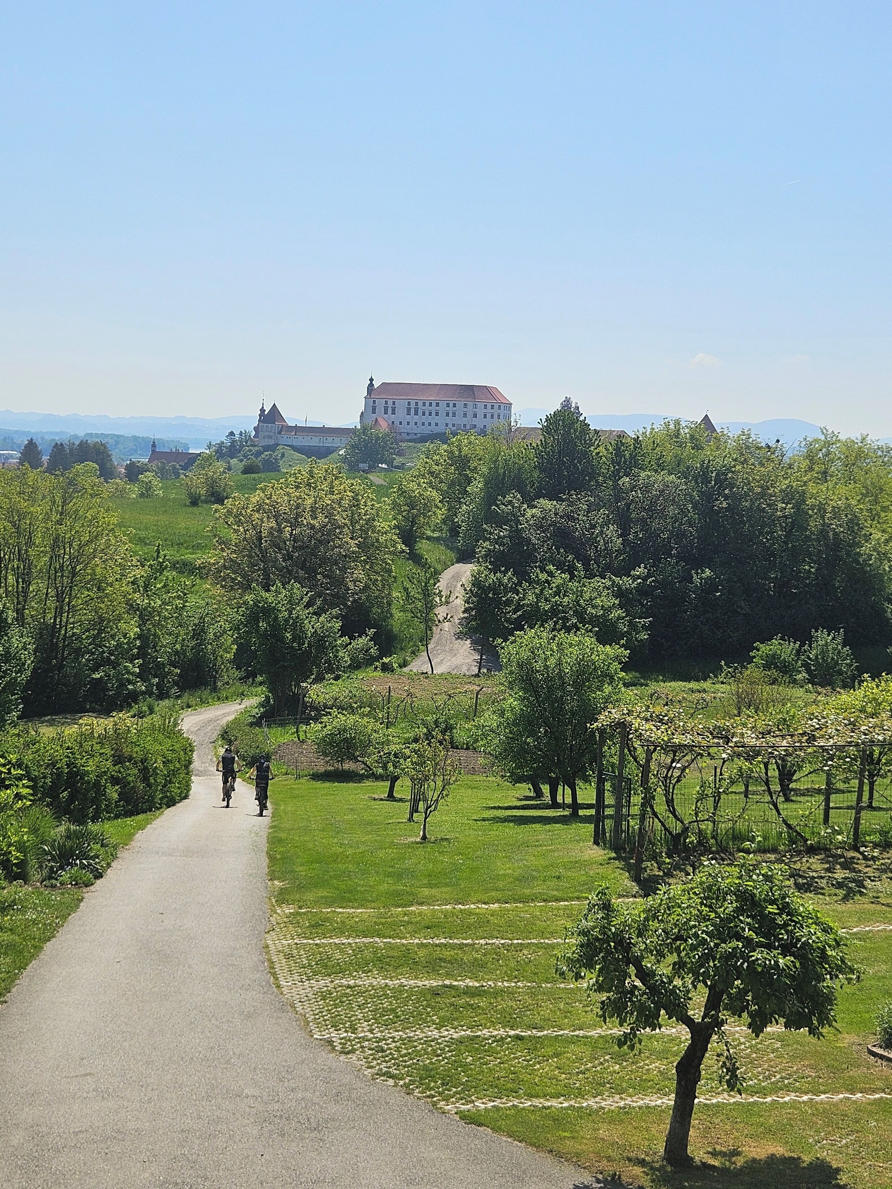 A paved path in a park with trees and a large building in the background.