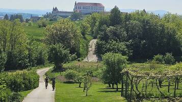 A paved path in a park with trees and a large building in the background.