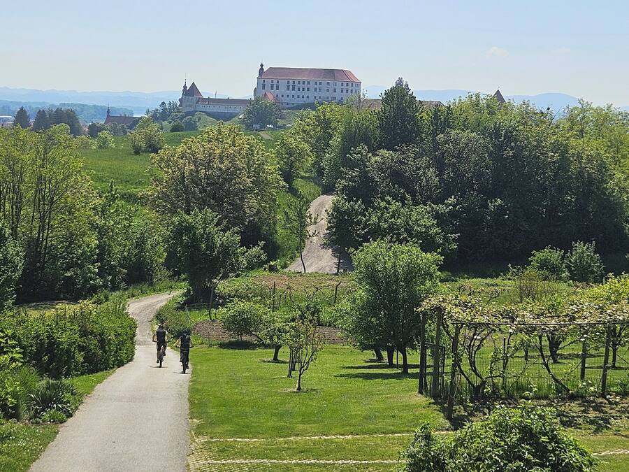A paved path in a park with trees and a large building in the background.