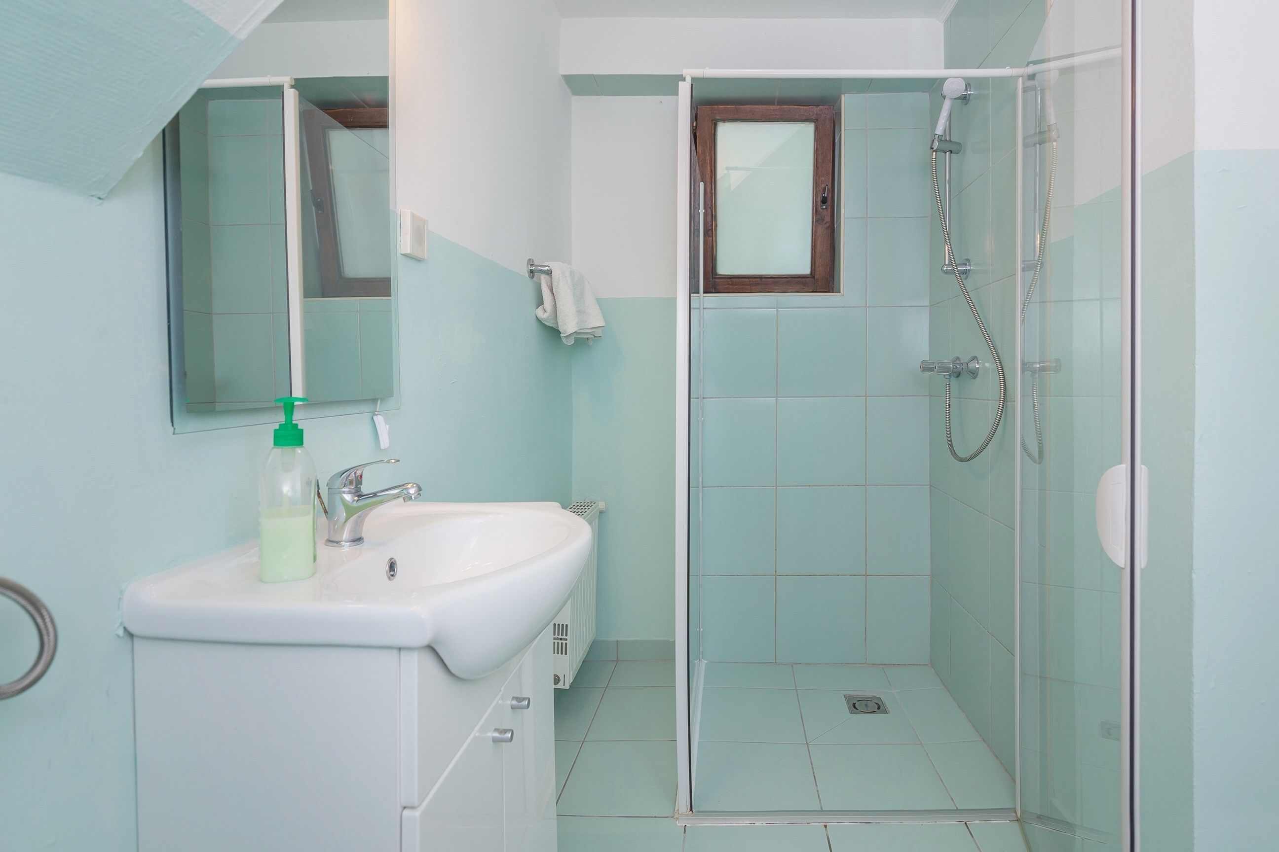 Une salle de bain avec un lavabo, un miroir et une douche.