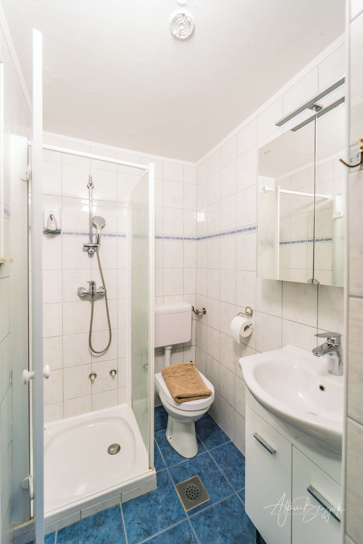 A bathroom with a glass-enclosed shower, a white toilet, a sink, and a mirror.