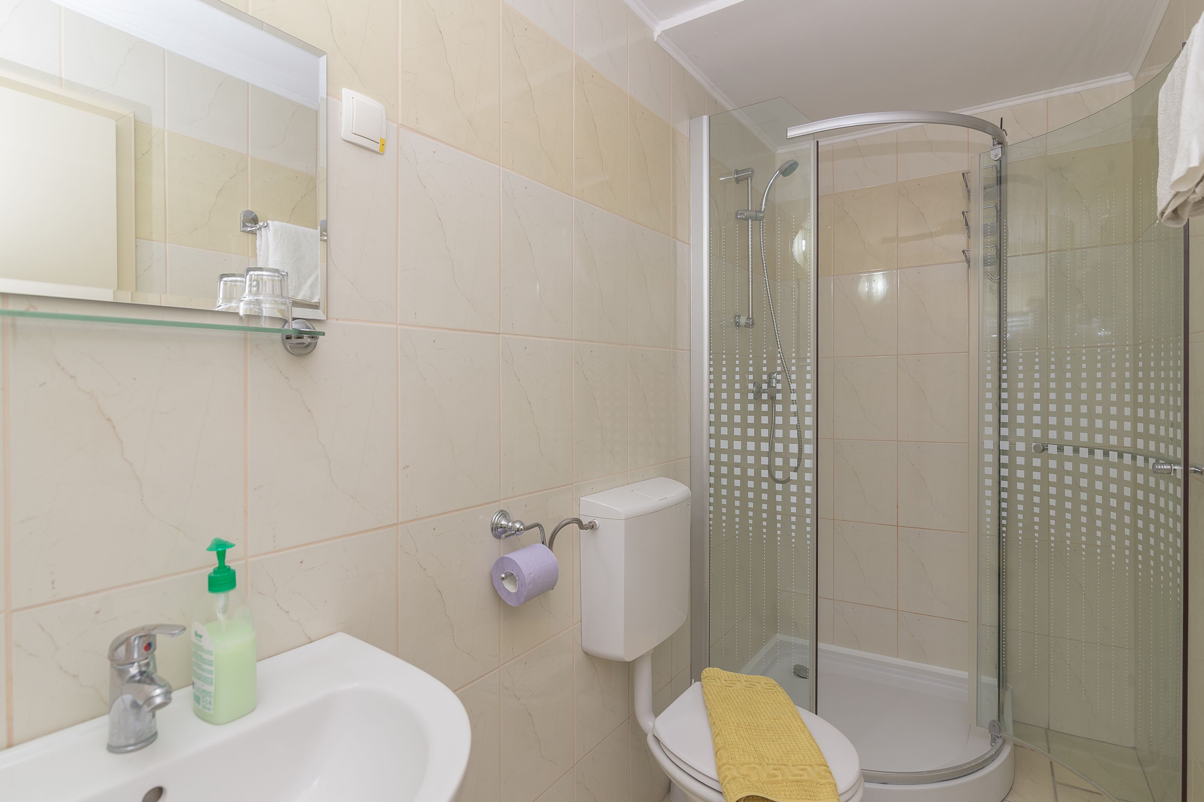 Un baño con ducha de vidrio, lavamanos con espejo e inodoro.