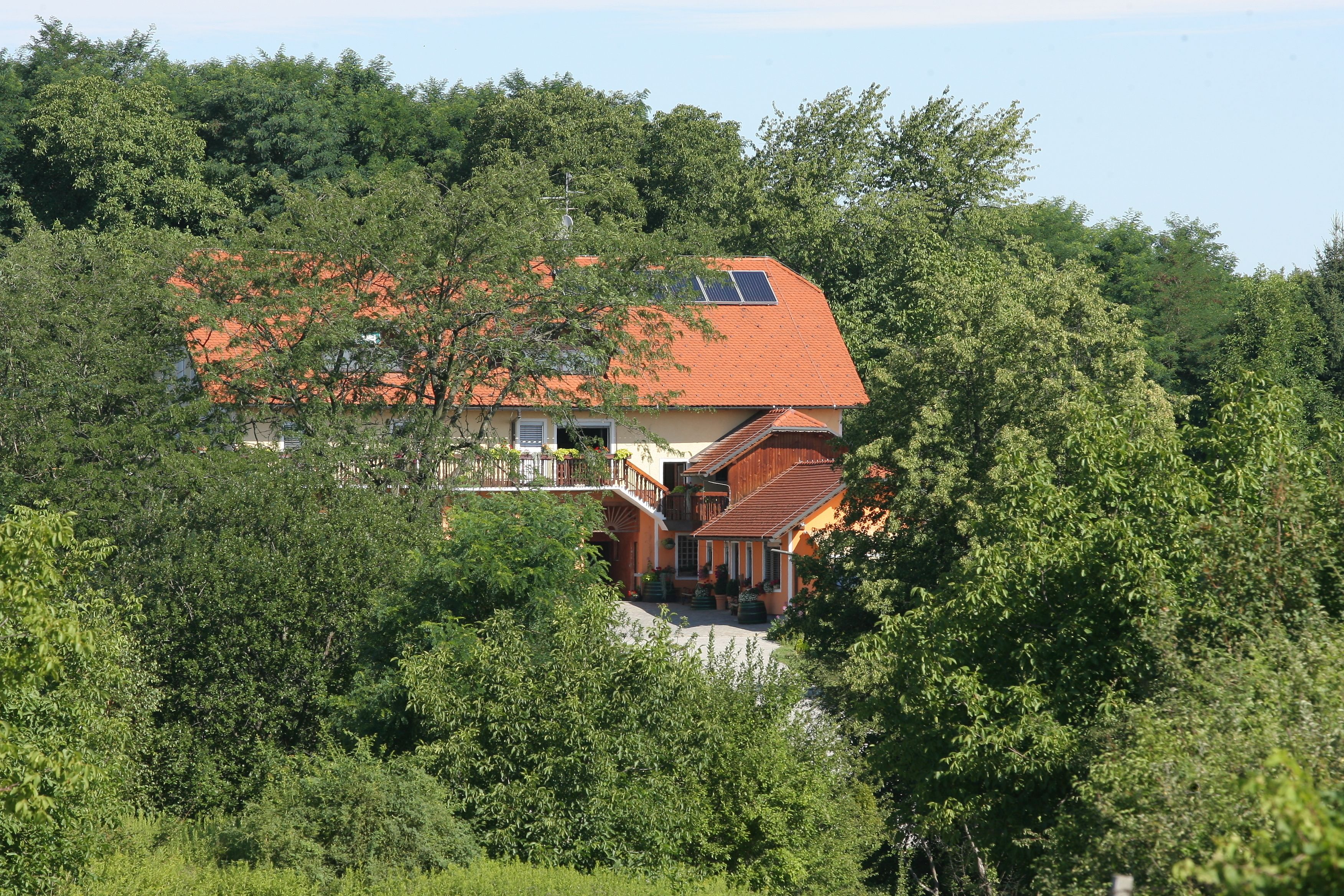A house with a red roof, surrounded by dense green trees.