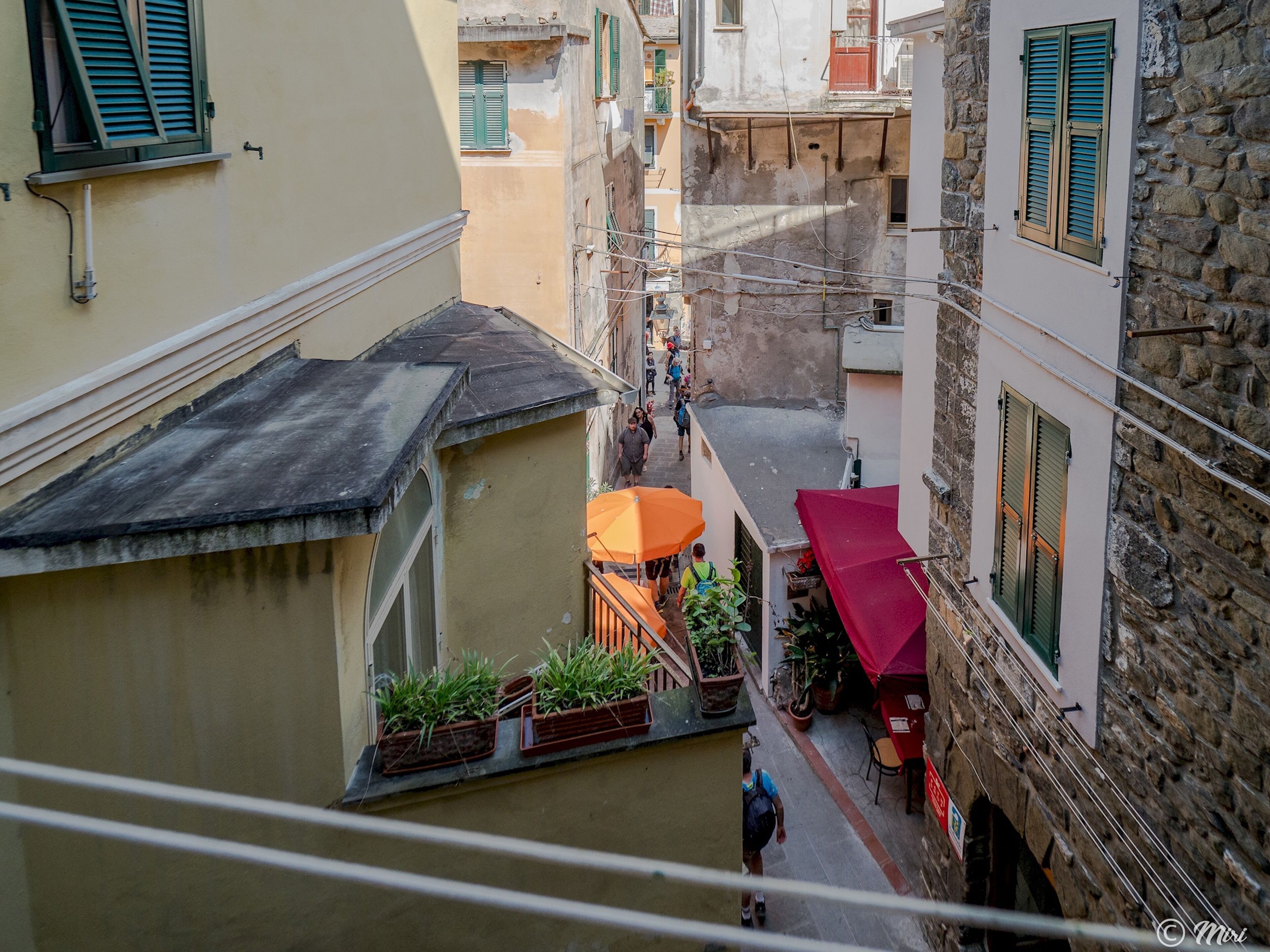 华丽开间, 1 张大床, 简易厨房 (1) | 客房景观