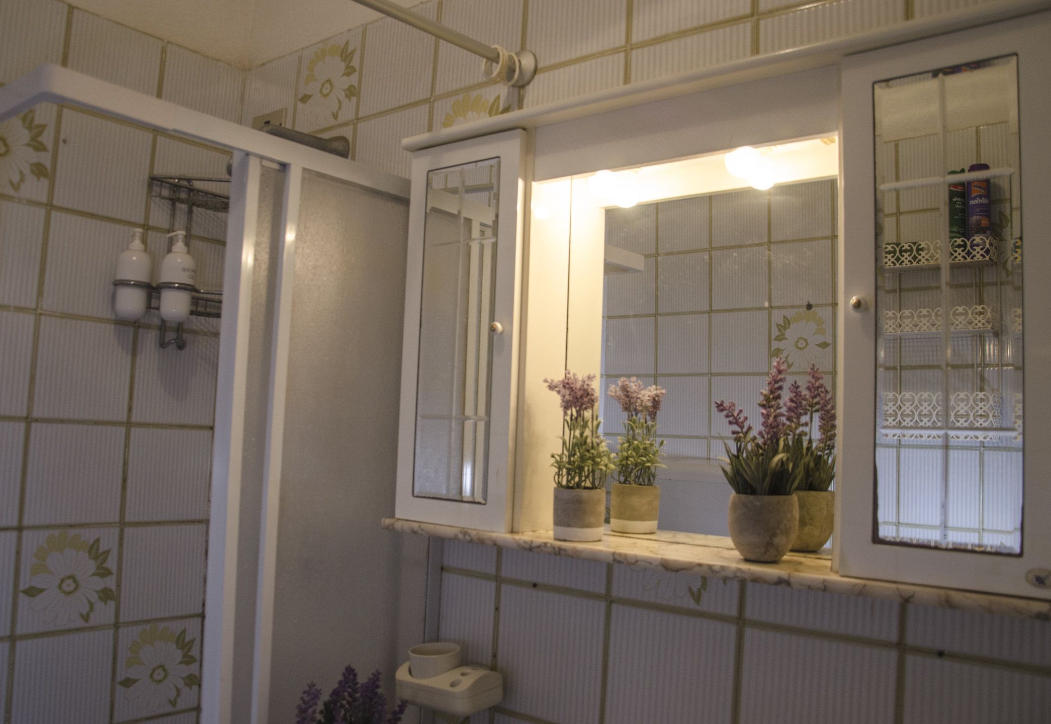 A bathroom with a tiled wall, a shelf with potted plants, a mirror, and a toilet.