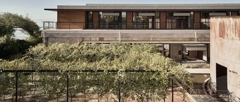A modern building with a flat roof and large windows, surrounded by a garden with various plants.