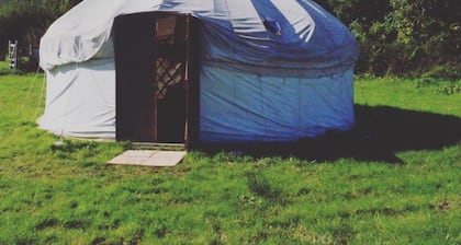 Reforge Retreat