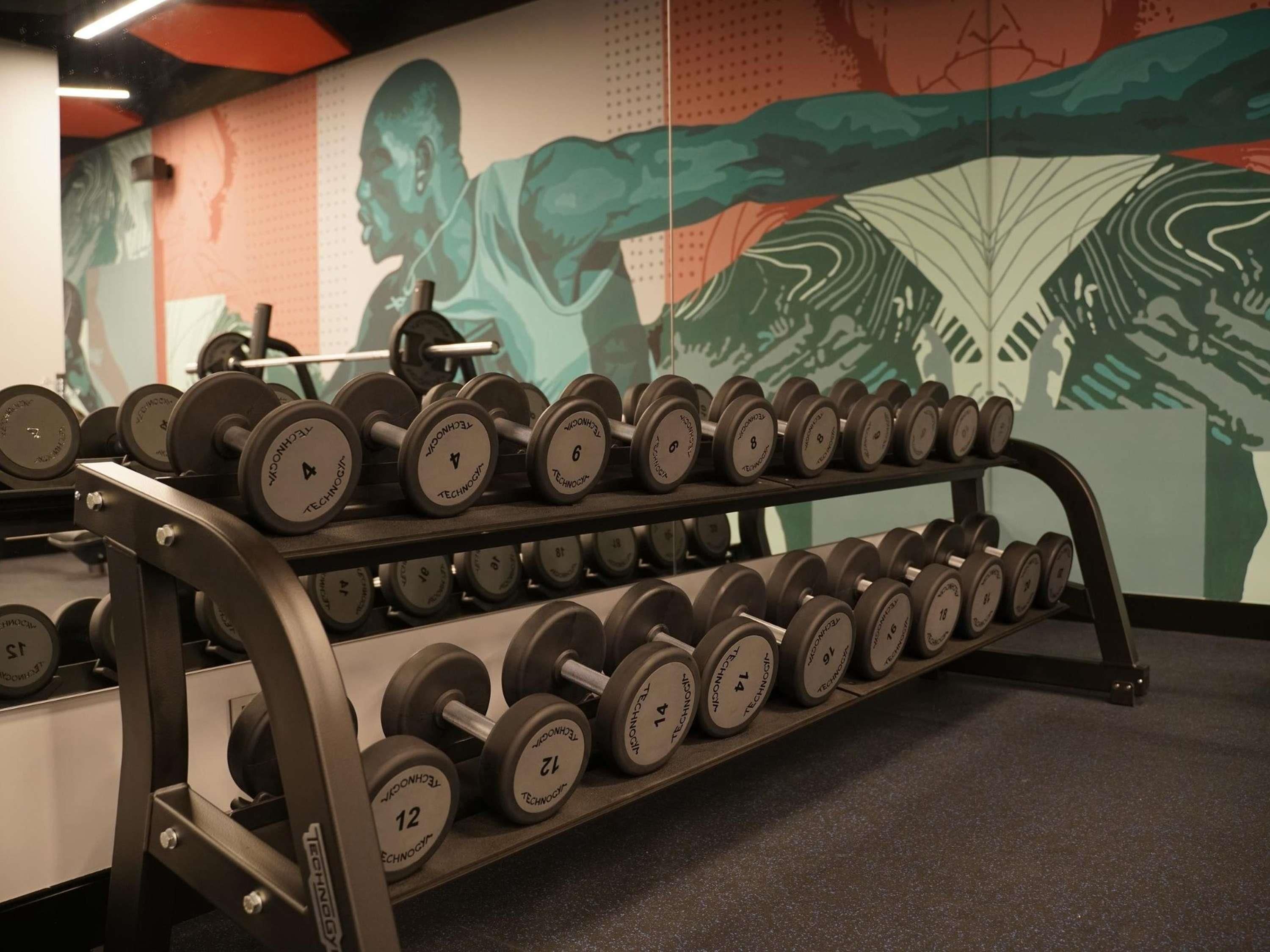 A rack of dumbbells with weight markings, a wall with a large abstract design, and a partial view of a gym environment.
