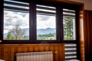 Bjergudsigt