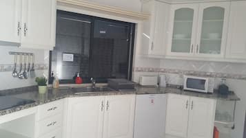 GroĂer KĂŒhlschrank, Mikrowelle, Ofen, Herdplatte